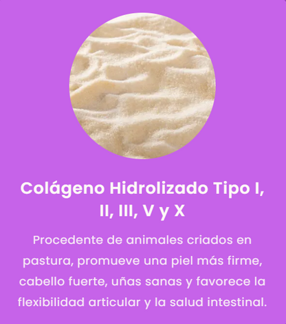 MULTICOLLAGEN PEPTIDES || LLEVA 2X1