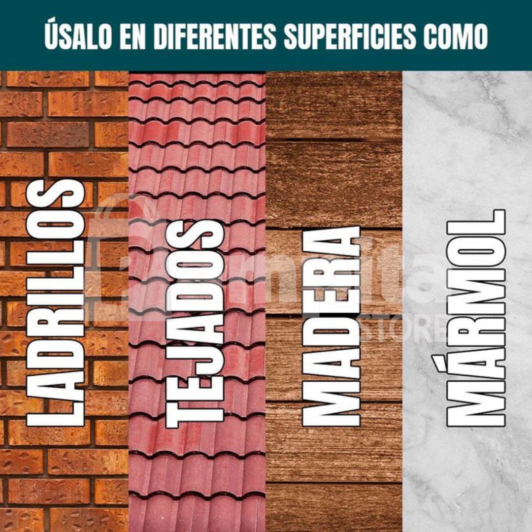 Encabezado