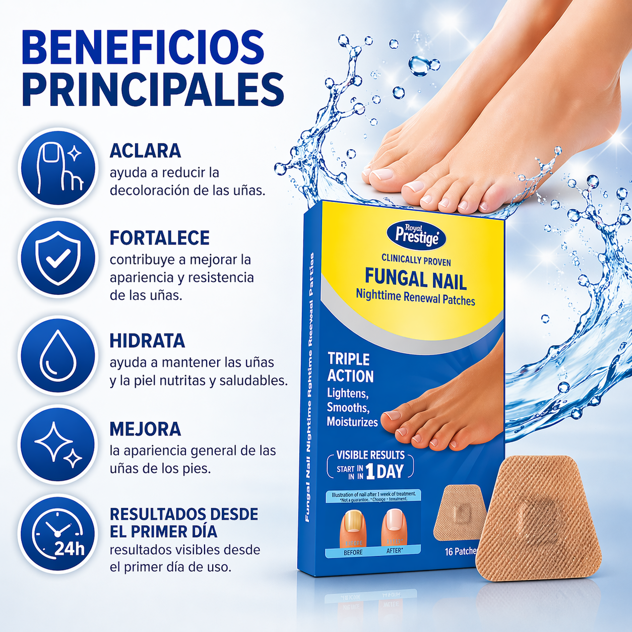 Encabezado
