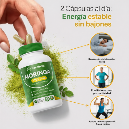MORINGA ROSABELLA