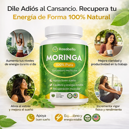 MORINGA ROSABELLA