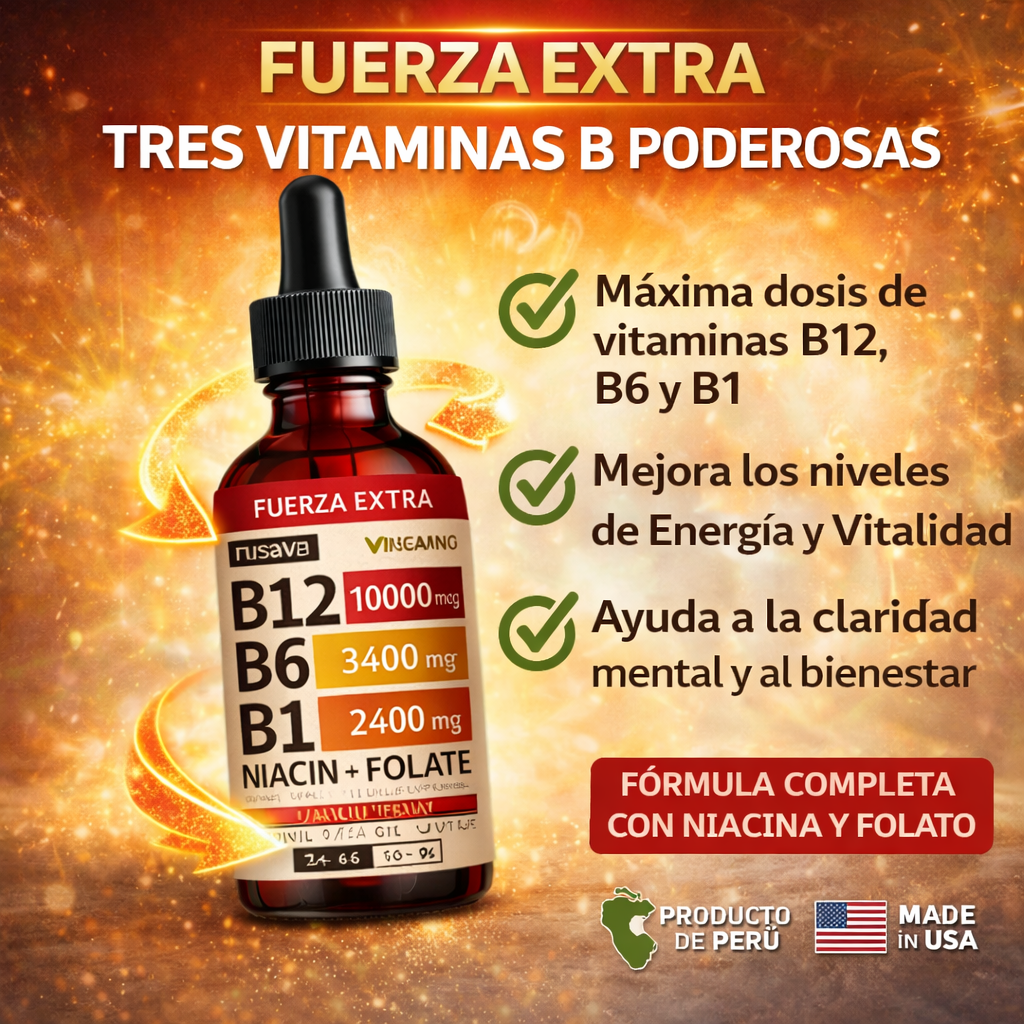 Encabezado