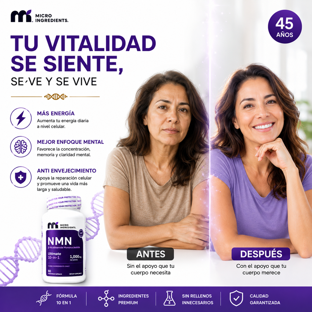 Encabezado
