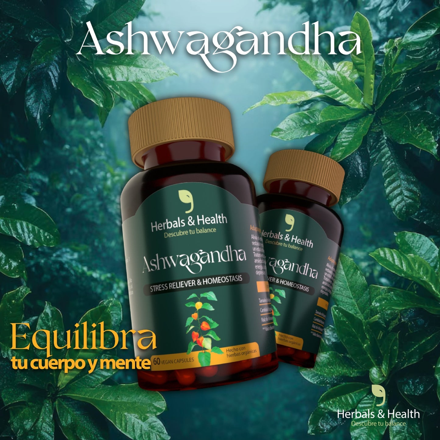 ASHWAGANDHA || REDUCE EL ESTRES - MEJORA EL SUEÑO - REDUCE EL CORTISOL