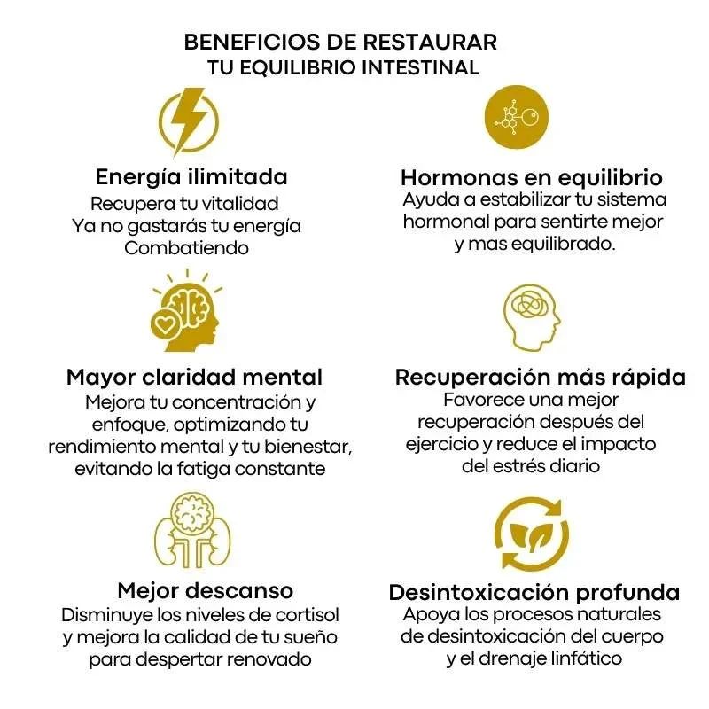 Encabezado