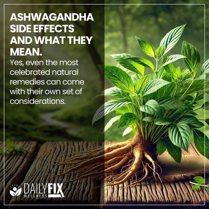 ASHWAGANDHA || REDUCE EL ESTRES - MEJORA EL SUEÑO - REDUCE EL CORTISOL