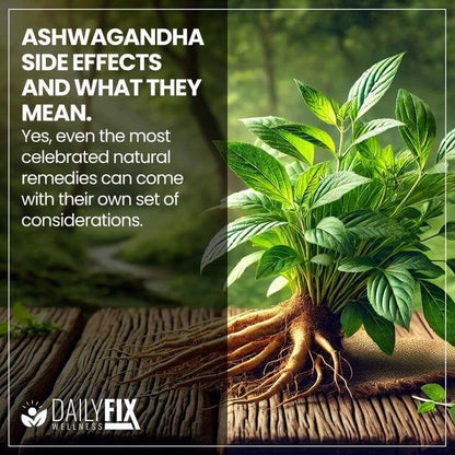 ASHWAGANDHA || REDUCE EL ESTRES - MEJORA EL SUEÑO - REDUCE EL CORTISOL