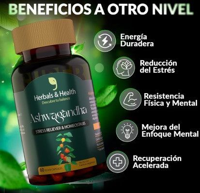 Encabezado