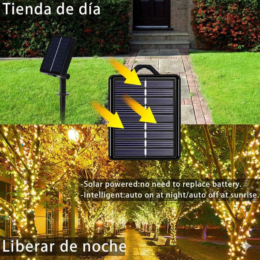 Encabezado