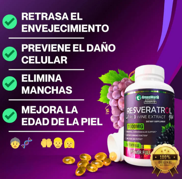 Encabezado