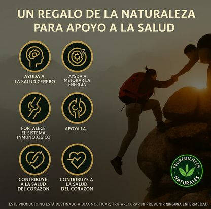 GOMITAS DE SHILAJIT